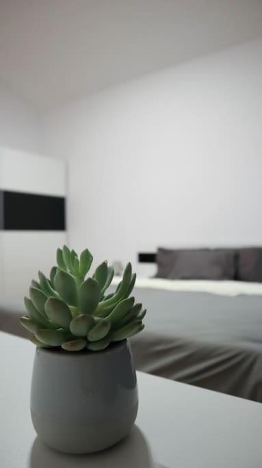 Modern Apartment In The Center Of Prag Exteriör bild
